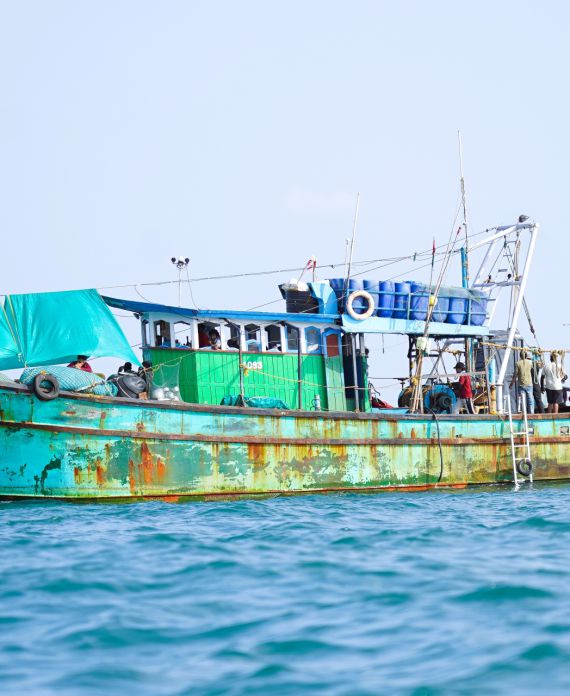 Yadhavi Sports Academy | World Record Swim